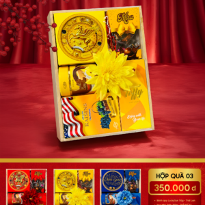 Hộp Quà Tết Phương Hiền Food 2026 – PHH03